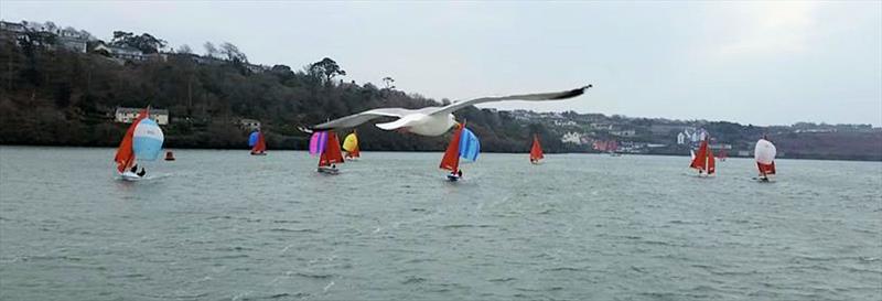 Custom Rigging Frostbites at Kinsale Yacht Club photo copyright Dave O'Sullivan taken at Kinsale Yacht Club and featuring the Squib class