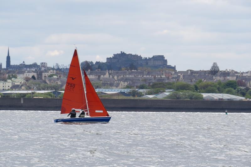 Squib Scottish and Northern Championships photo copyright Sheena Kerr taken at Royal Forth Yacht Club and featuring the Squib class