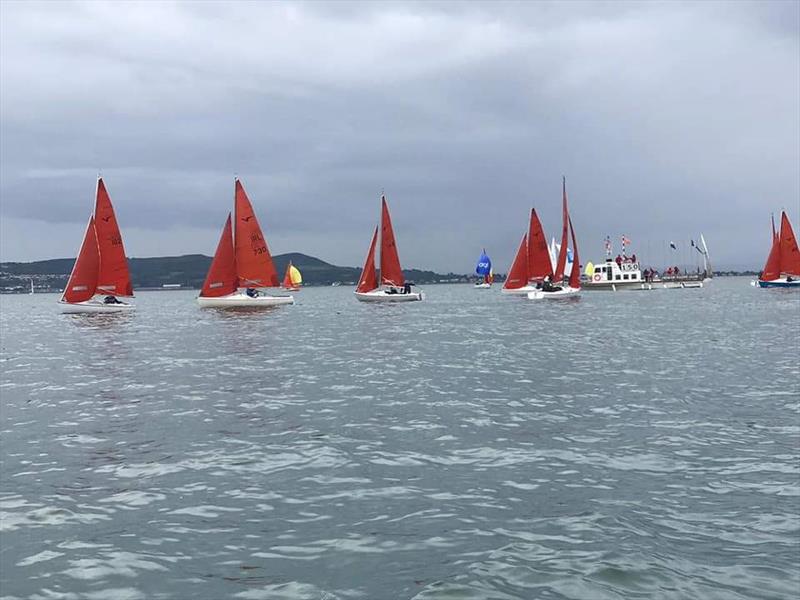 Provident CRM Squib Irish Easterns at Howth photo copyright Jane Pinend taken at Howth Yacht Club and featuring the Squib class