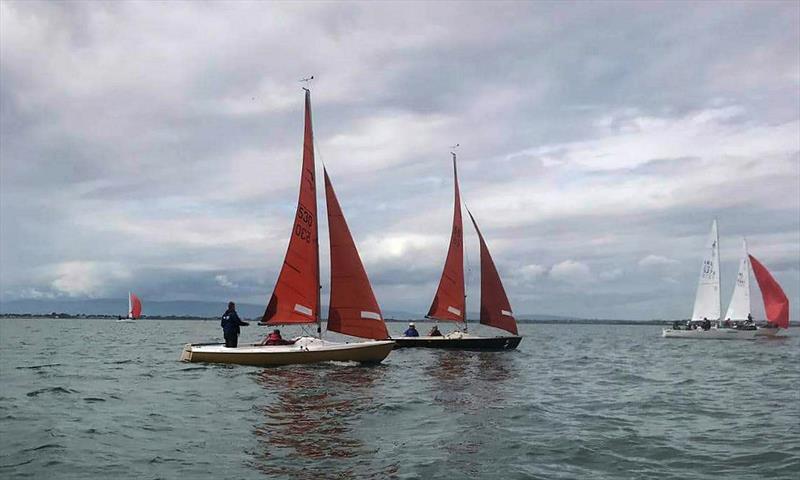 Provident CRM Squib Irish Easterns at Howth photo copyright Jane Pinend taken at Howth Yacht Club and featuring the Squib class