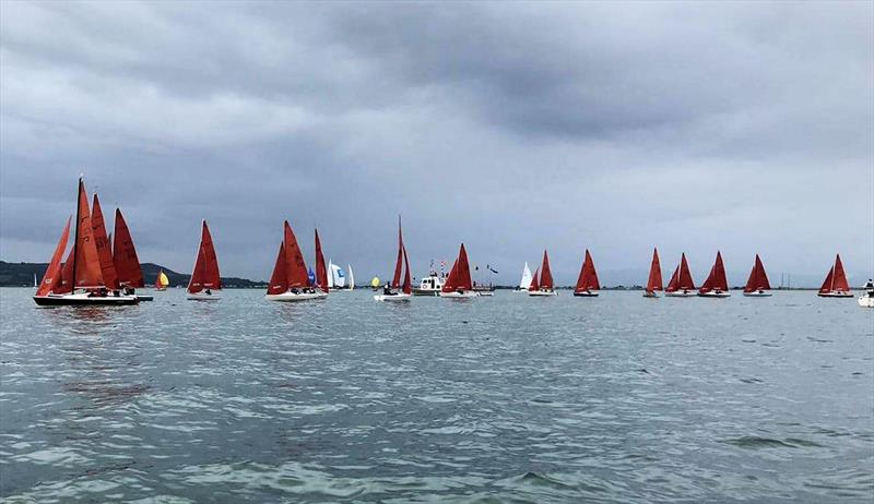 Provident CRM Squib Irish Easterns at Howth photo copyright Jane Pinend taken at Howth Yacht Club and featuring the Squib class
