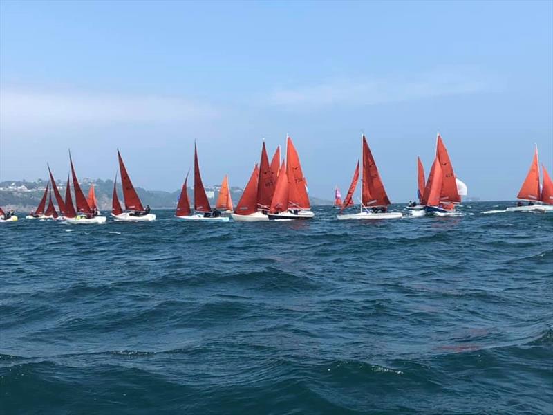 Squib Nationals at Torbay day 4 photo copyright RTYC taken at Royal Torbay Yacht Club and featuring the Squib class