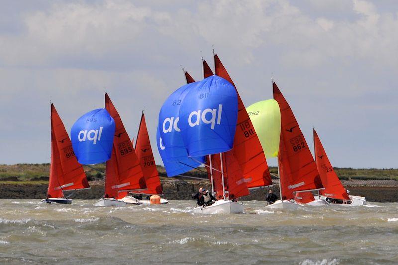 Squib Jimmy Starling trophy at Burnham photo copyright Alan Hanna taken at Burnham Sailing Club and featuring the Squib class