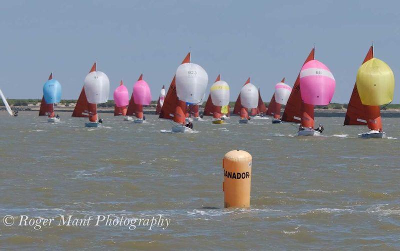 Squibs celebrate arrival of summer at the Gold Cup - the leeward mark - photo © Roger Mant Photography