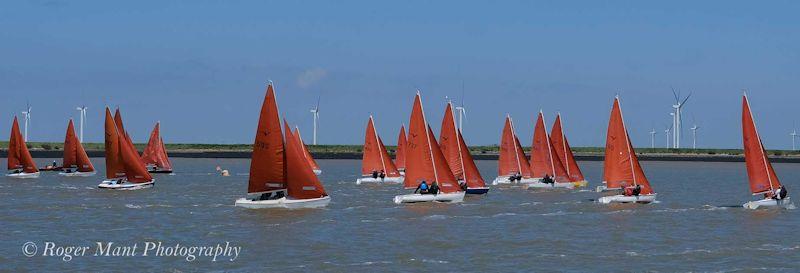 Squibs celebrate arrival of summer at the Gold Cup photo copyright Roger Mant Photography taken at Royal Corinthian Yacht Club, Burnham and featuring the Squib class