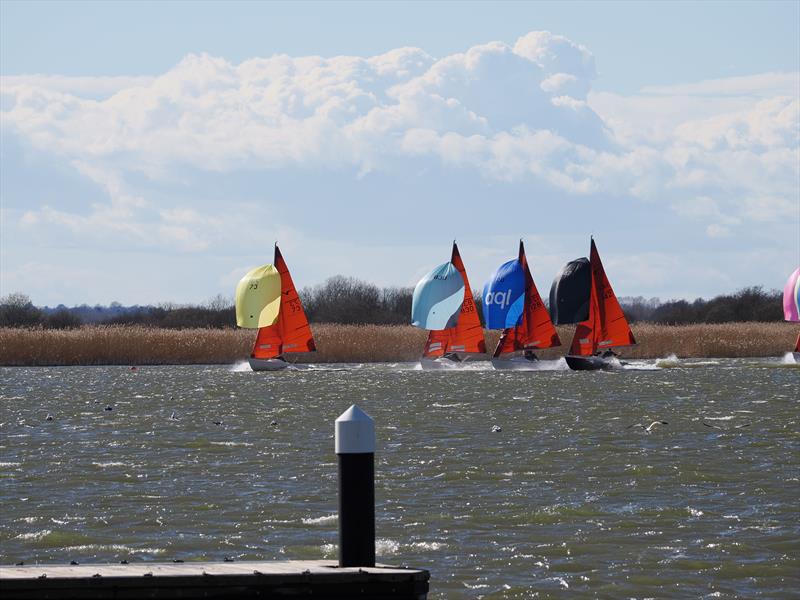 Squib Broadland Regatta photo copyright Chris Jordan taken at Waveney & Oulton Broad Yacht Club and featuring the Squib class