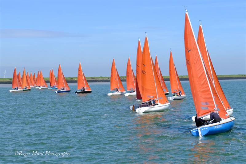 2023 Burnham Squib Gold Cup photo copyright Roger Mant Photography taken at Royal Corinthian Yacht Club, Burnham and featuring the Squib class