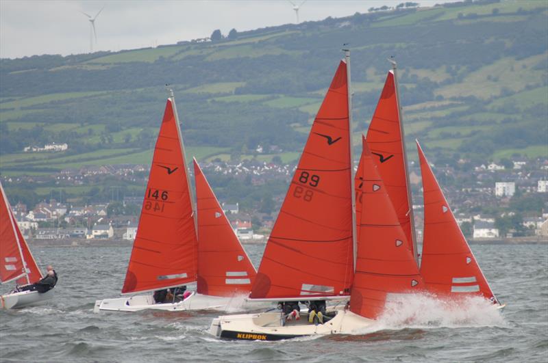 Squib Championship of Ireland 2023 - Fresh Conditions on Belfast Lough photo copyright Lindsay Nolan-McCarty taken at Royal North of Ireland Yacht Club and featuring the Squib class