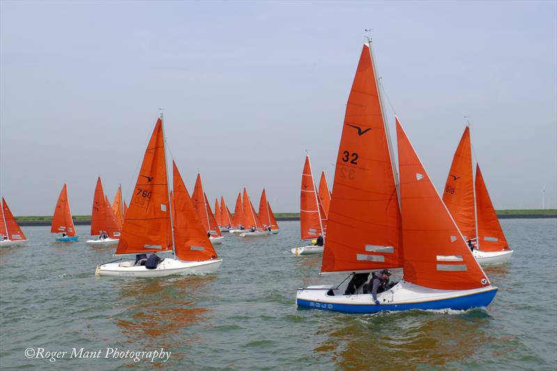 Squibs sailing during the 2023 edition of the Squib Gold Cup photo copyright Roger Mant Photography taken at Royal Corinthian Yacht Club, Burnham and featuring the Squib class