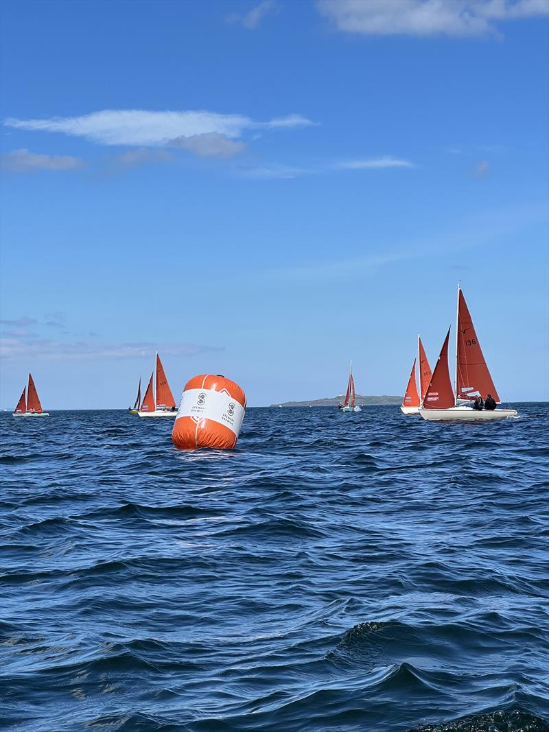 Stewart Brewing Squib UK Nationals at Royal Forth Yacht Club Day 3 photo copyright Anthony Money taken at Royal Forth Yacht Club and featuring the Squib class