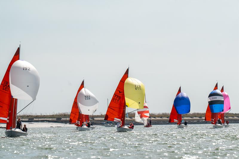 Squibs were out in force on the Tuesday of Burnham Week 2024 photo copyright Petru Balau Sports Photography / sports.hub47.com taken at Royal Corinthian Yacht Club and featuring the Squib class