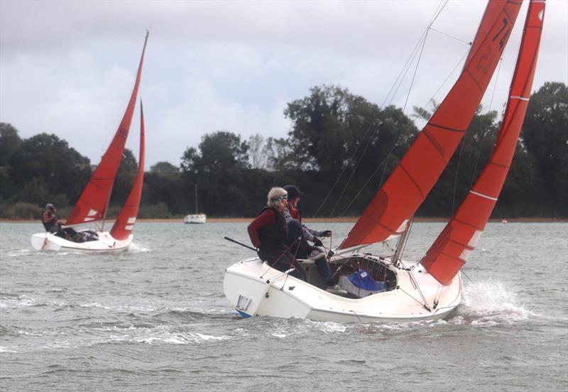 Waldringfield Sailing Club Cartoon Trophy 2024 photo copyright Alexis Smith taken at Waldringfield Sailing Club and featuring the Squib class