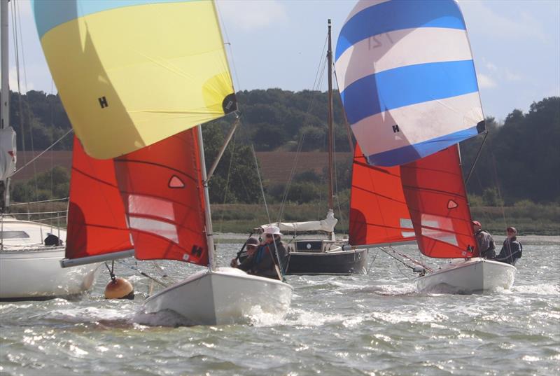 Waldringfield Sailing Club Cartoon Trophy 2024 photo copyright Alexis Smith taken at Waldringfield Sailing Club and featuring the Squib class