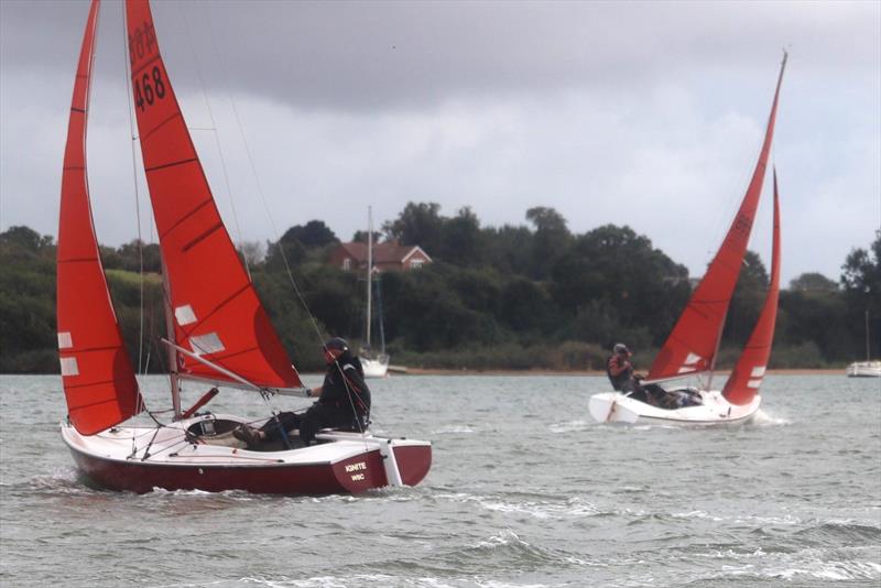 Waldringfield Sailing Club Cartoon Trophy 2024 photo copyright Alexis Smith taken at Waldringfield Sailing Club and featuring the Squib class