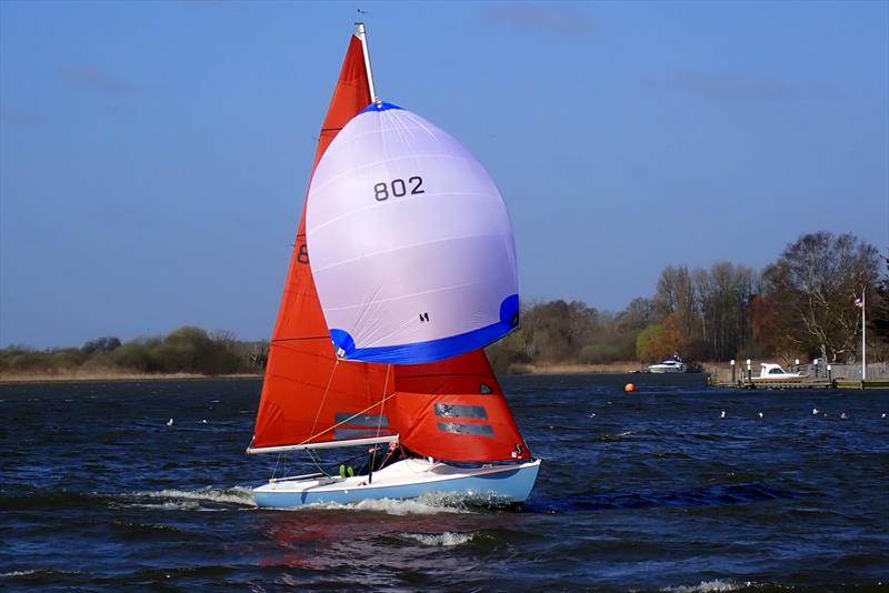 Squib Broadland Regatta - photo © Chris Jordan