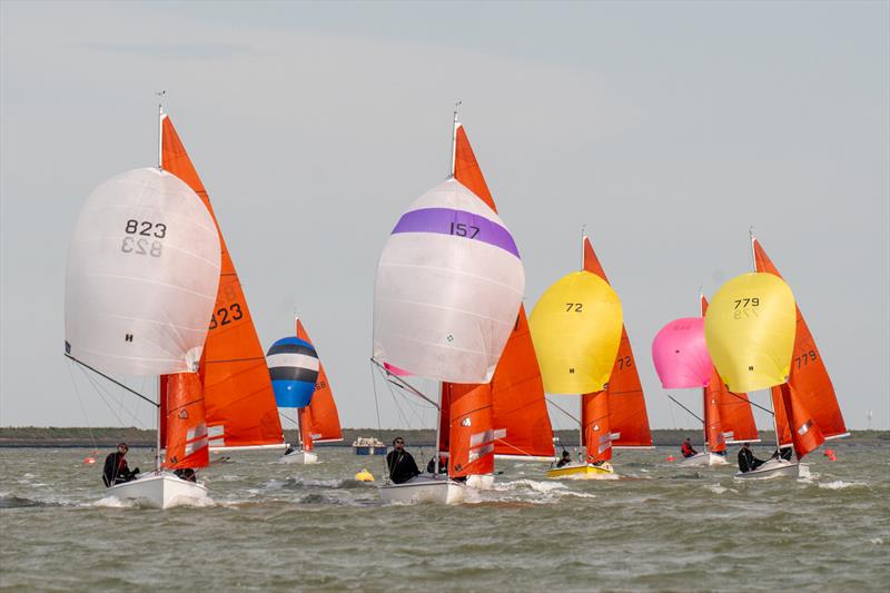 Squib Easter sailing at Royal Corinthian YC - Mike Flint Trophy  photo copyright Petru Balau Sports Photography / sports.hub47.com taken at Royal Corinthian Yacht Club and featuring the Squib class