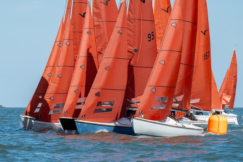 Close start during Squib Gold Cup 2025 at Royal Corinthian Yacht Club photo copyright Petru Balau Sports Photography / sports.hub47.com taken at Royal Corinthian Yacht Club and featuring the Squib class