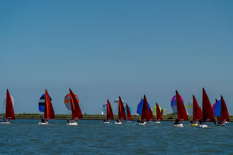 Squibs sail on the river Crouch during Squib Gold Cup 2025 at Royal Corinthian Yacht Club - photo © Petru Balau Sports Photography / sports.hub47.com