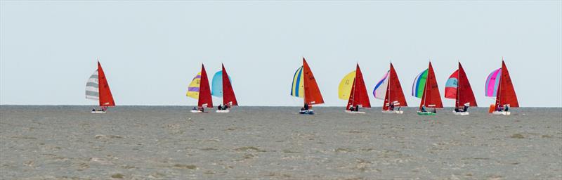 Squibs at the RRoyal Norfolk & Suffolk Yacht Club June Regatta - photo © Bob Girling