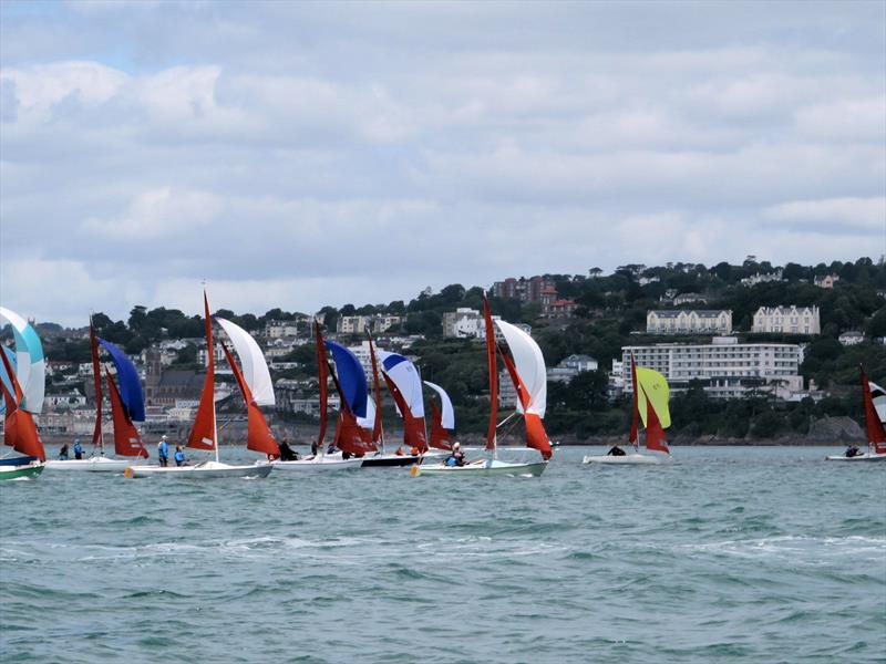 Squib Nationals 2025 at Torbay Day 1 - photo © Nicola Davies