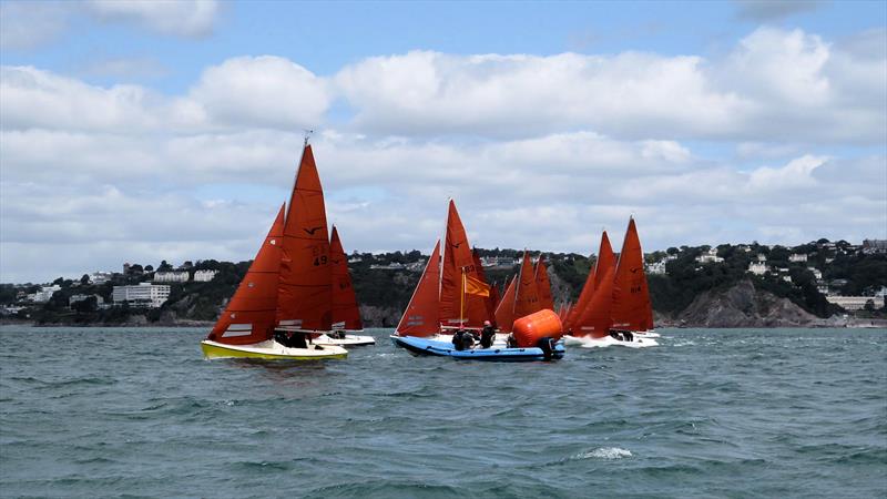 Squib Nationals 2025 at Torbay Day 1 - photo © Nicola Davies