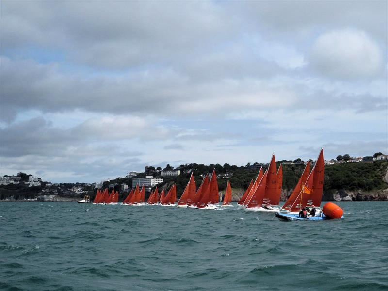 Squib Nationals 2025 at Torbay Day 5 - photo © Nicola Davies