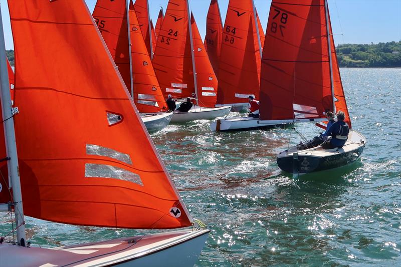 Rodgers and Browne Squib Northern Championships at Royal North of Ireland YC - photo © Niamh Coman
