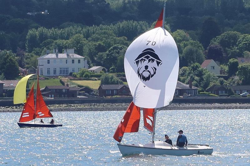 Rodgers and Browne Squib Northern Championships at Royal North of Ireland YC - photo © RNIYC