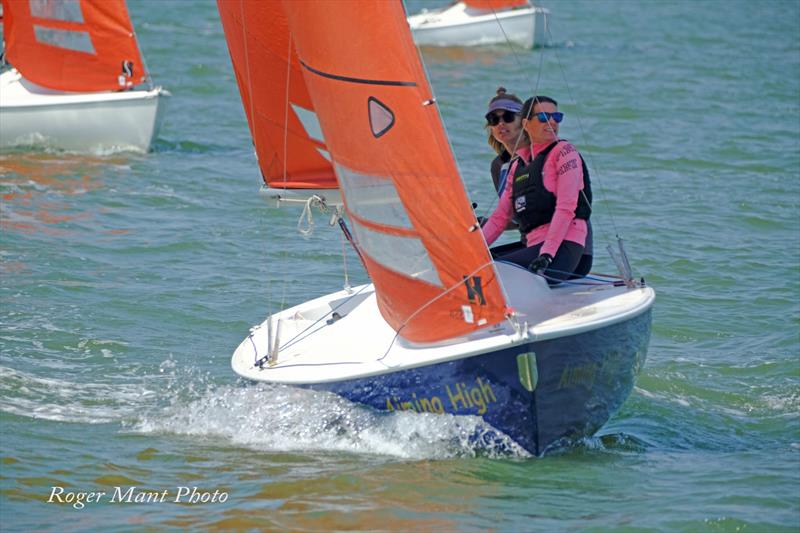Squib East Coast Championship at Royal Burnham YC - photo © Roger Mant