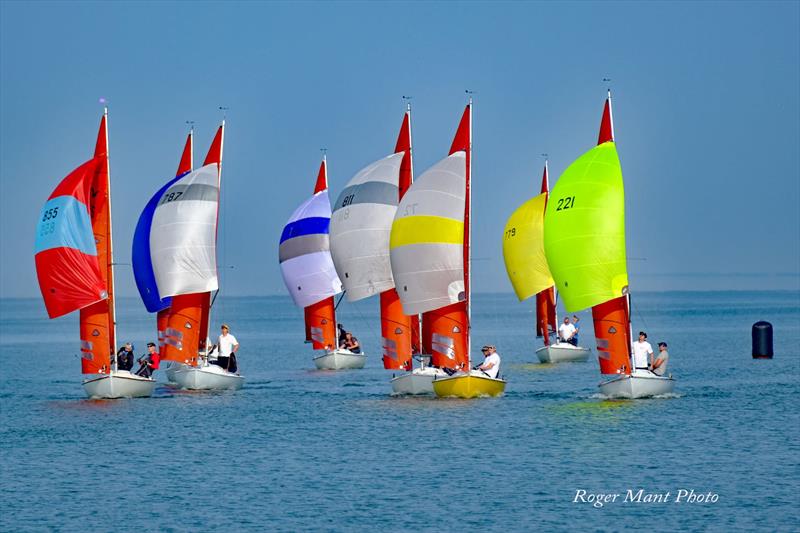 Squib East Coast Championship at Royal Burnham YC photo copyright Roger Mant taken at Royal Burnham Yacht Club and featuring the Squib class