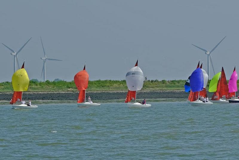 Squib East Coast Championship at Royal Burnham YC - photo © Roger Mant