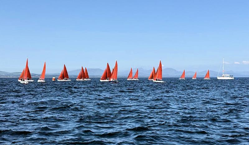 Squib National Championship 2026 - photo © SCYC