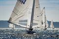 © International Star Class / Martina Orsini