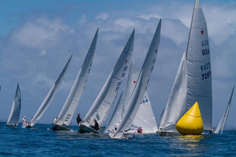 2019 Star Western Hemisphere Championship  photo copyright Cynthia Sinclair taken at San Diego Yacht Club and featuring the Star class