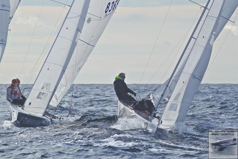 64th Nice Christmas Regatta - Day 1 photo copyright Alexander Panzeri taken at  and featuring the Star class