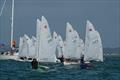 Toyota Optimist and Staling NZ Nationals - April 2022 - Napier sailing Club  © Bruce Jenkins