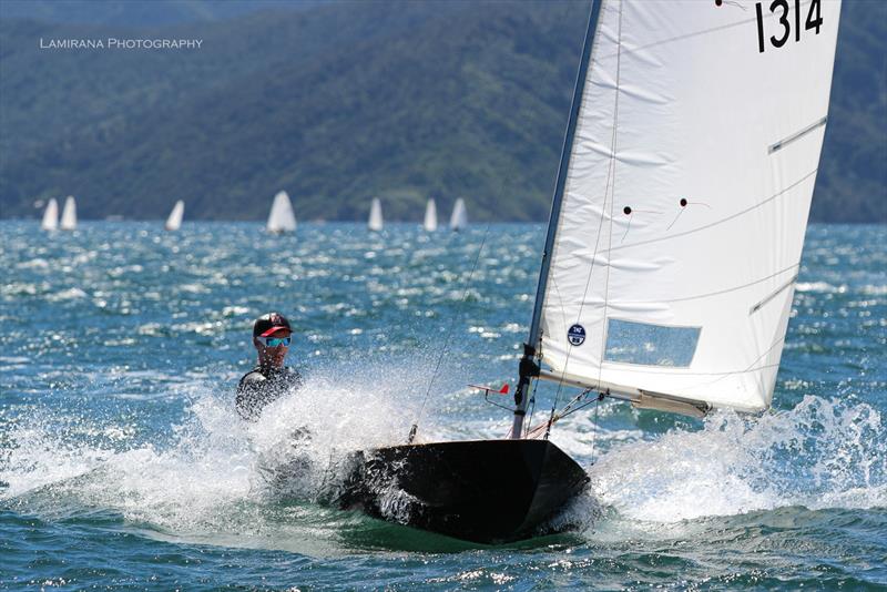 Interislander Optimist & Starling Regatta at Queen Charlotte Yacht Club photo copyright Lamirana Photography taken at Queen Charlotte Yacht Club and featuring the Starling class