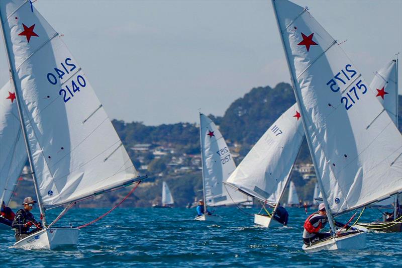 2019 Starling Nationals - Taipa Sailing Club - April 2019 - photo © William Beauchamp