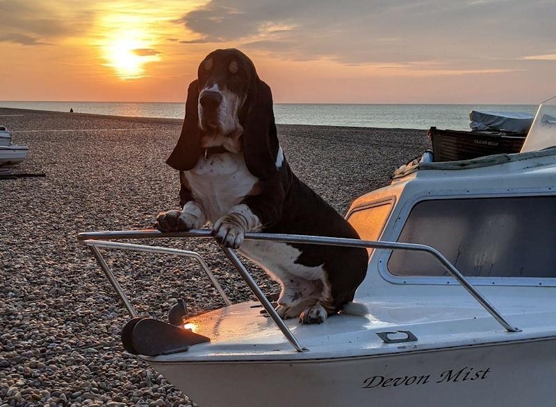 Stoneways' Marine Amateur Photographer of the Year 2022: Colin Gwyer - April - photo © Colin Gwyer