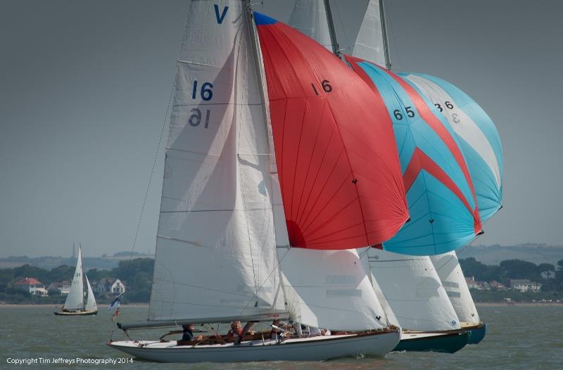 Solent Sunbeams fleet - Cowes Classic Week photo copyright Tim Jeffreys Photography taken at Cowes Combined Clubs and featuring the Sunbeam class