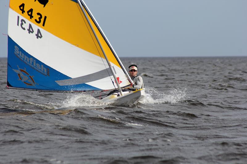 The venerable Sunfish is a great platform for adventure sailing - photo © Priscilla Parker / www.priscillaparker.co