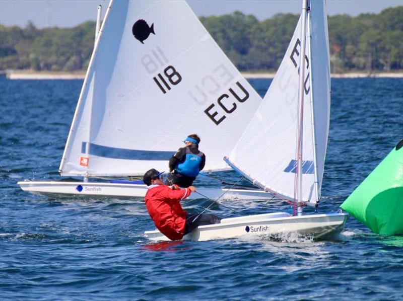 2018 USSCA National Championship at Midwinters photo copyright Susanna Russell taken at St. Andrews Bay Yacht Club and featuring the Sunfish class