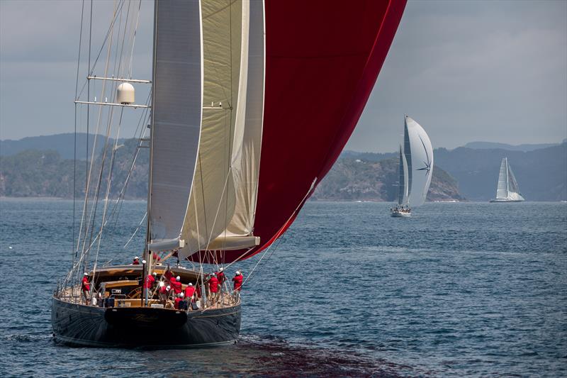 Millennium Cup 2019 - Bay of Islands, NZ - January 2019 photo copyright Jeff Brown taken at  and featuring the Superyacht class