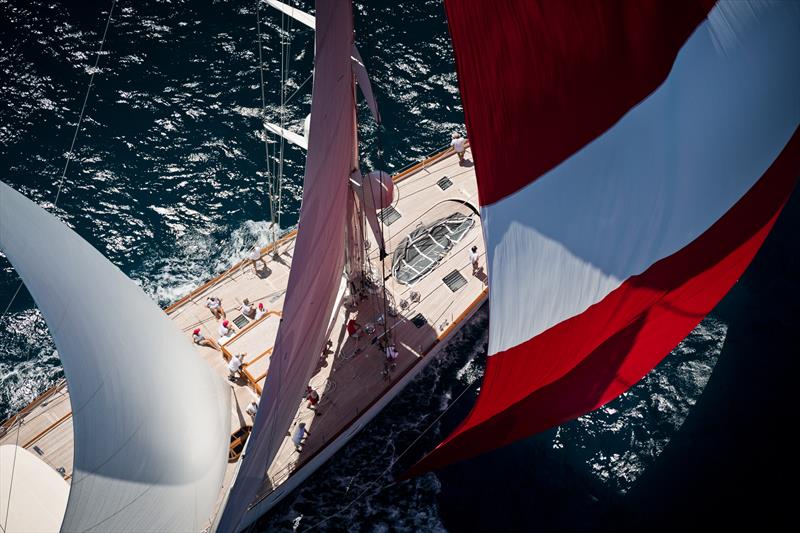 Millennium Cup Regatta - Bay of Islands - February 1, 2020 - photo © Jeff Brown