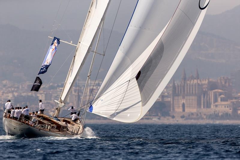 The Superyacht Cup Palma 2019 photo copyright Sailing Energy taken at Real Club Náutico de Palma and featuring the Superyacht class