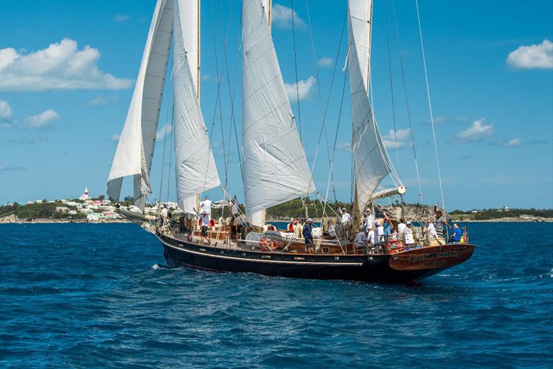 Division winner: Spirit of Bermuda (Spirit of Tradition) - 2022 Newport Bermuda Race photo copyright Chris Burville taken at Royal Bermuda Yacht Club and featuring the Superyacht class