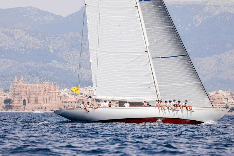 The Superyacht Cup Palma 2022 photo copyright Sailing Energy taken at Real Club Náutico de Palma and featuring the Superyacht class