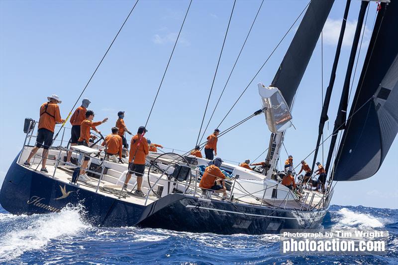 2025 Superyacht Challenge Antigua photo copyright Tim Wright / Photoaction.com taken at  and featuring the Superyacht class