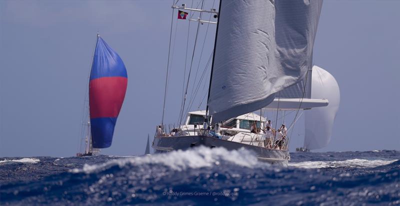 Catalina - Superyacht Challenge Antigua 2026 Day 3 - photo © Roddy Grimes Graeme / Acquafilms / @roddyacqua