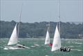 National Swallow 75th Anniversary Championship at Cowes Classics Week 2023 © Kirsty Bang